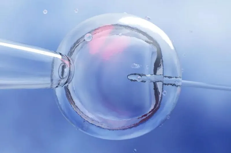 In vitro a moralność: Czy to grzech według nauki Kościoła? Poznaj kontrowersje