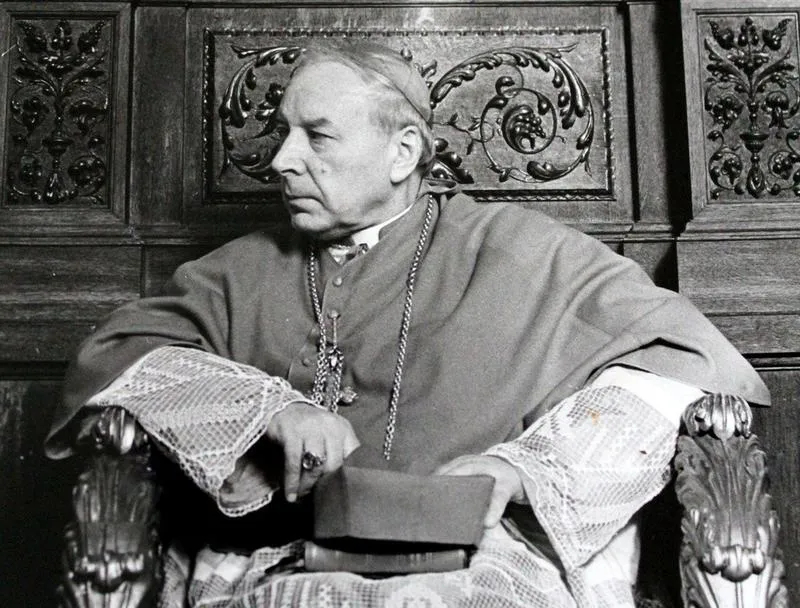 Odkryj sekrety uprawy powojnika Kardynał Wyszyński – pielęgnacja tej wyjątkowej rośliny w Twoim ogrodzie