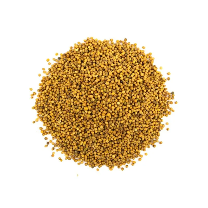 Przypowieść o ziarnku gorczycy: odkryj kluczowe przesłanie i jego znaczenie