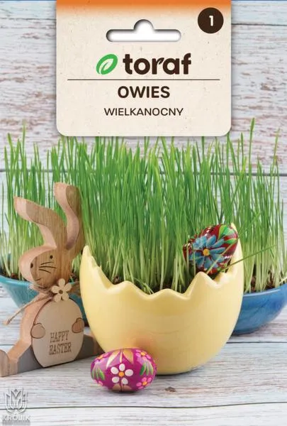 Dekoracje wielkanocne z owsa