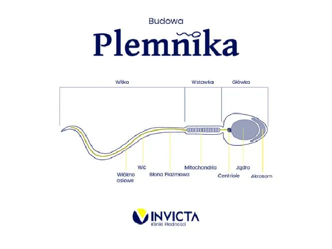 Etyczne dylematy nauki