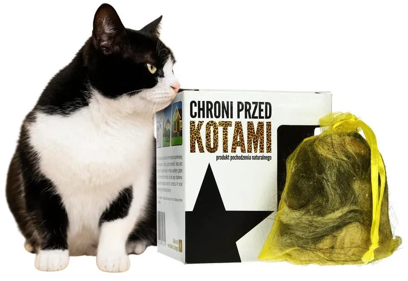 Filozofia zwierząt i dusza kota