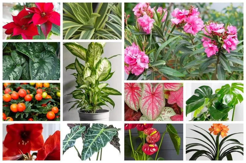 Najpopularniejsze gatunki kwiatów do kościoła