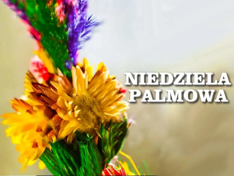 Obrzędy poświęcenia palm historia i tradycje