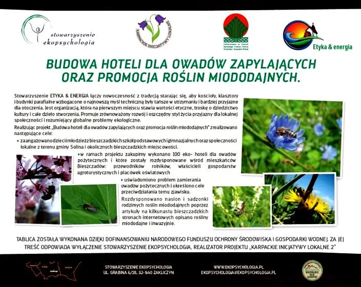 Perspektywa ekologiczna