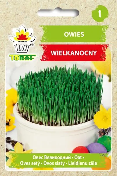 Podłoże do wysiewu owsa