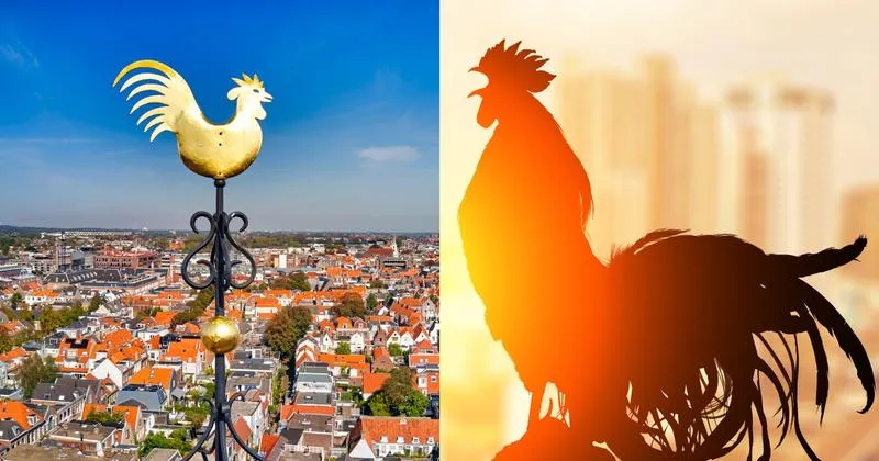 Symbolika koguta w religii