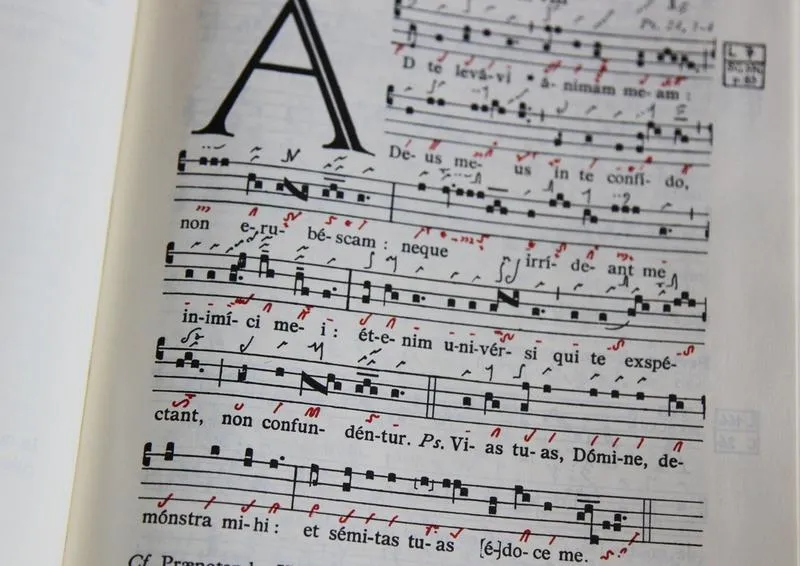 Ukryte koszty i klauzule w umowie